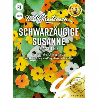 Thunbergia Susanne Blackeye, mix multicolor imagine 5