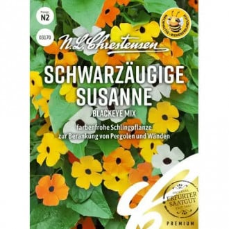 Thunbergia Susanne Blackeye, mix multicolor imagine 2