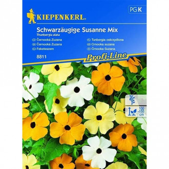 Thunbergia Susanne, mix multicolor imagine 5