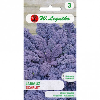 Varză Kale Scarlet imagine 1