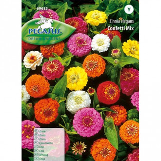 Zinnia (Cârciumăreasă) Confetti, mix multicolor imagine 1