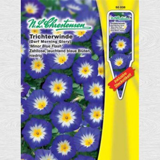 Zorele pitice Minor Blue Flash imagine 17