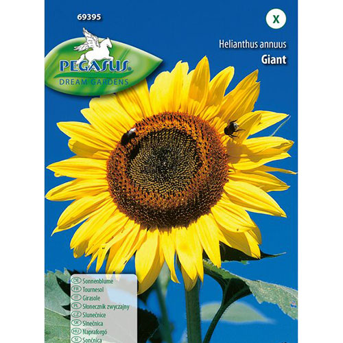 Floarea soarelui decorativă Giant, mix multicolor imagine 1 articol 96576
