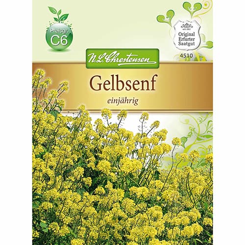 Muștar galben articol fotografie 1 Muștar galben imagine 1 articol 96475