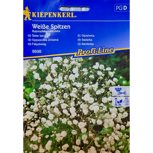 Floarea miresei paniculată (Gypsophila) White articol fotografie 1 Floarea miresei paniculată (Gypsophila) White imagine 1 articol 96538