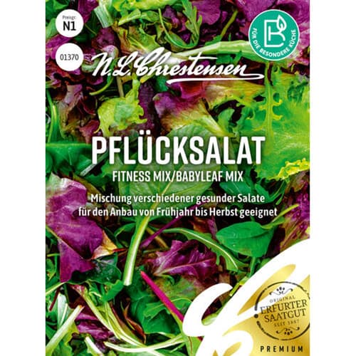 Salată Fitness, amestec de soiuri articol fotografie 1 Salată Fitness, amestec de soiuri imagine 1 articol 96494