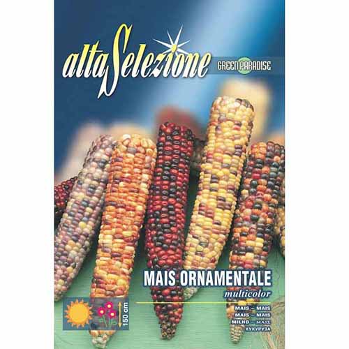 Porumb ornamental, mix multicolor imagine 1 articol 96367