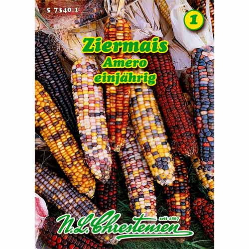 Porumb ornamental Amero articol fotografie 1 Porumb ornamental Amero imagine 1 articol 96457