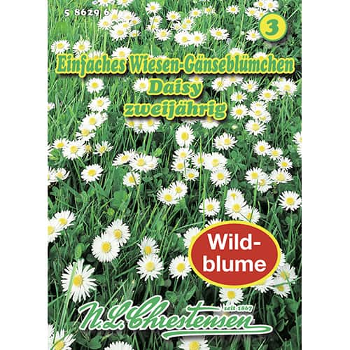 Bănuței Daisy imagine 1 articol 87801