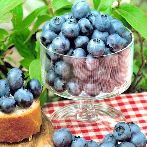 Afin Sunt Blue Giant imagine 2 articol 9218