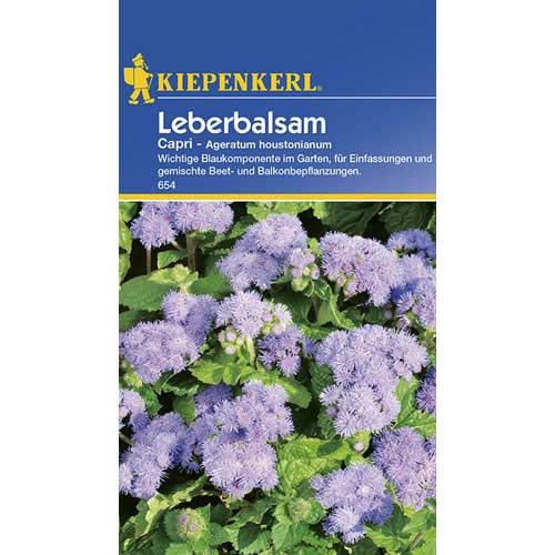 Ageratum Capri Kiepenkerl imagine 1 articol 77393