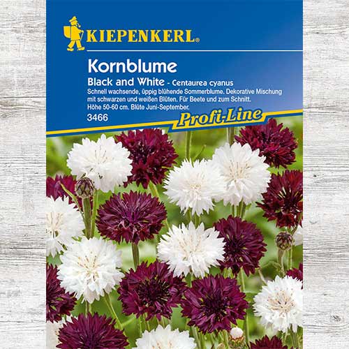 Albăstrele Black & White articol fotografie 1 Albăstrele Black & White imagine 1 articol 86279