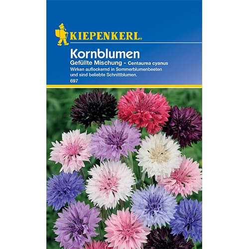 Albăstrele, mix multicolor Kiepenkerl imagine 1 articol 50062