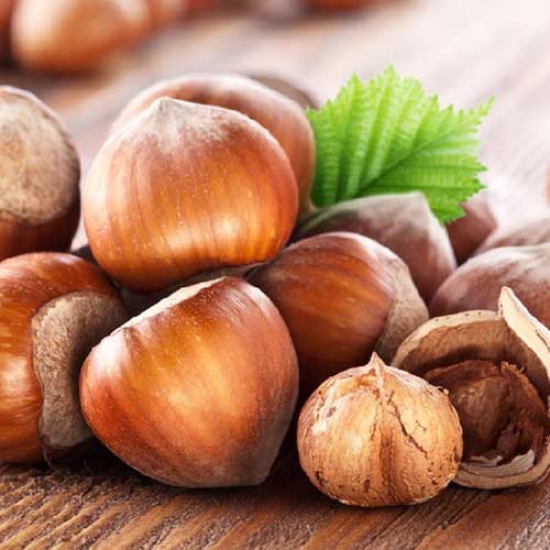 Alun Sozi articol fotografie 1 Alun Sozi imagine 1 articol 4283