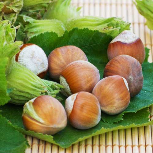 Alun Yamhill imagine 1 articol 6931