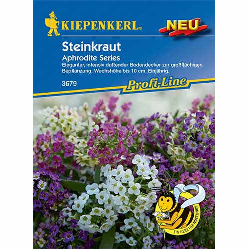 Alyssum Aphrodite articol fotografie 1 Alyssum Aphrodite imagine 1 articol 96586