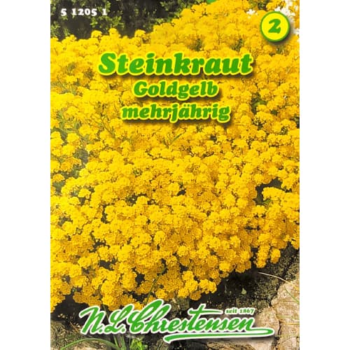 Alyssum Gold Cup imagine 1 articol 78969