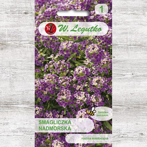 Alyssum violet Legutko articol fotografie 1 Alyssum violet Legutko imagine 1 articol 87089