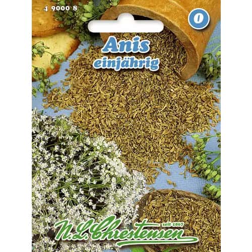 Anason imagine 1 articol 96462