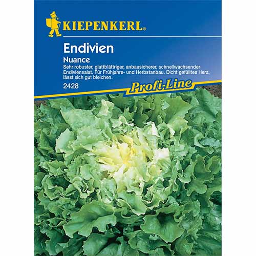 Andive Nuance articol fotografie 1 Andive Nuance imagine 1 articol 96614