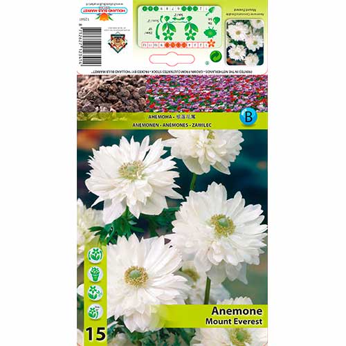 Anemone Mount Everest articol fotografie 1 Anemone Mount Everest imagine 1 articol 76166