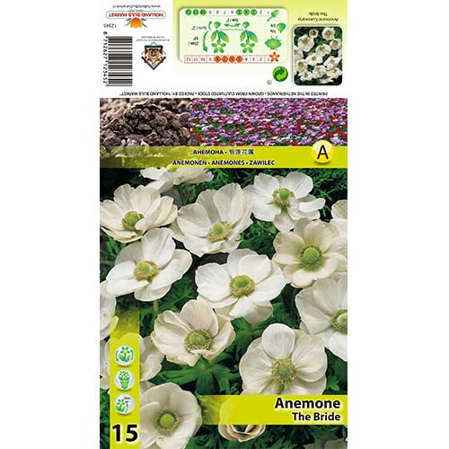 Anemone The Bride imagine 1 articol 70343