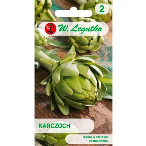 Anghinare Gros Vert de Laon Legutko imagine 1 articol 50130