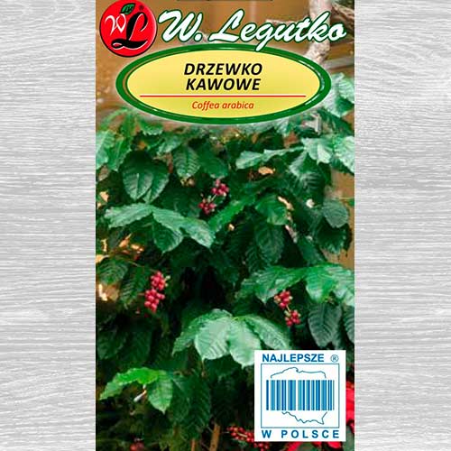 Arbore de cafea Legutko imagine 1 articol 69583