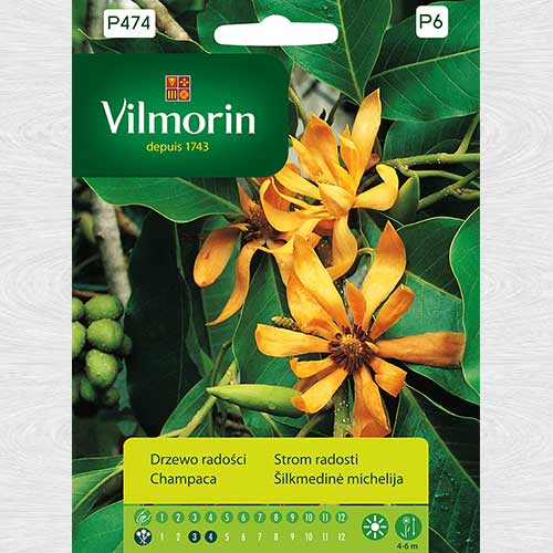 Arbore de Champaca imagine 1 articol 69765