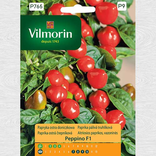 Ardei iute Peppino F1 articol fotografie 1 Ardei iute Peppino F1 imagine 1 articol 69720