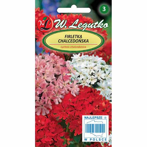 Lychnis chalcedonica, mix multicolor imagine 1 articol 96740