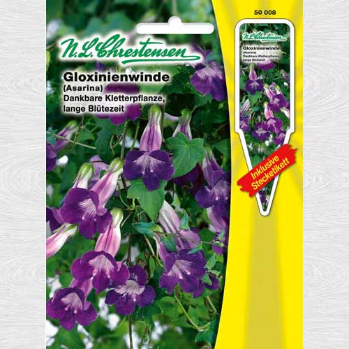 Asarina imagine 1 articol 69242