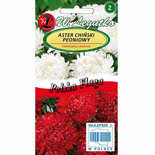 Ochiul boului tip bujor Polish Flag, mix multicolor imagine 1 articol 96694