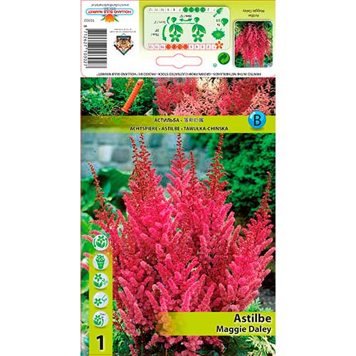 Cumpără bulbi de astilbe maggie daley (76179): în magazinul Gradinamax
