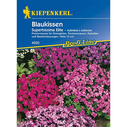 Aubrieta Superbissima Elite imagine 1 articol 86256