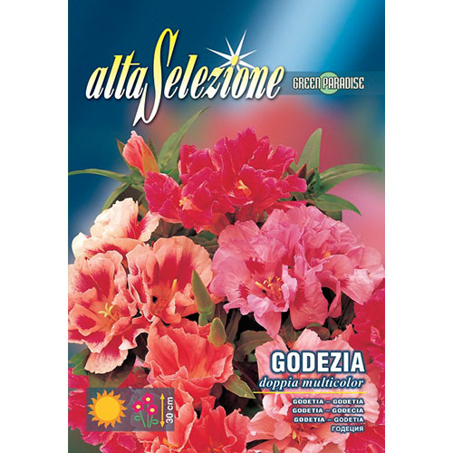 Azalee de gradină dublă, mix multicolor articol fotografie 1 Azalee de gradină dublă, mix multicolor imagine 1 articol 87301