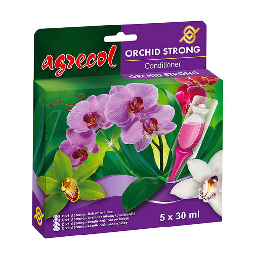 Balsam pentru orhidee articol fotografie 1 Balsam pentru orhidee imagine 1 articol 86570