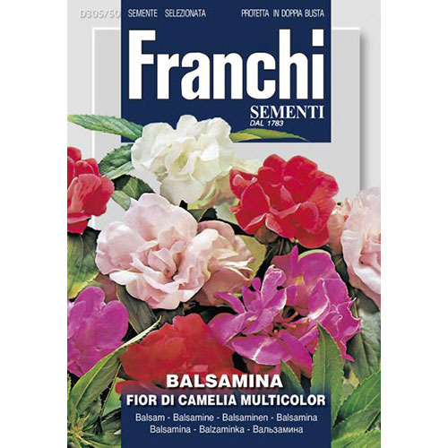 Balsamină cu flori de camelie, mix multicolor articol fotografie 1 Balsamină cu flori de camelie, mix multicolor imagine 1 articol 87302