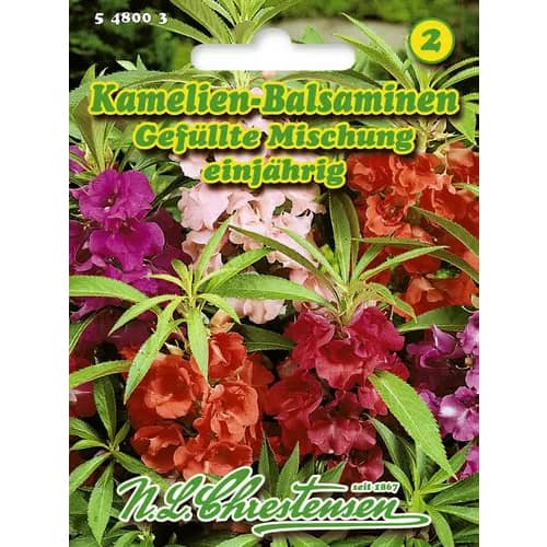 Balsamină cu flori de camelie, mix multicolor imagine 1 articol 96429