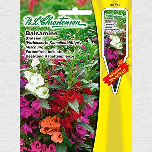 Balsamină, mix multicolor imagine 1 articol 69320