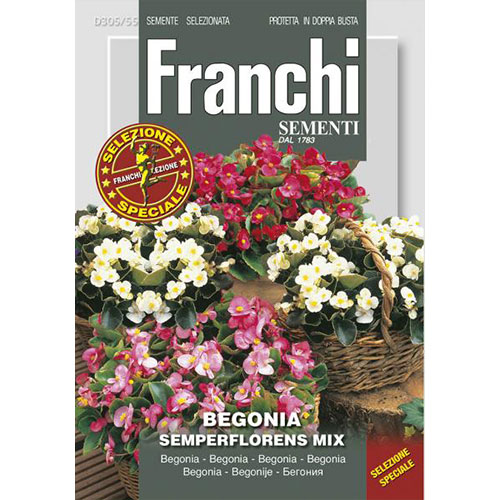 Begonie cerată, mix multicolor imagine 1 articol 87303