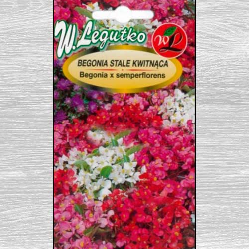 Begonie Gloria F1, mix multicolor imagine 1 articol 69568