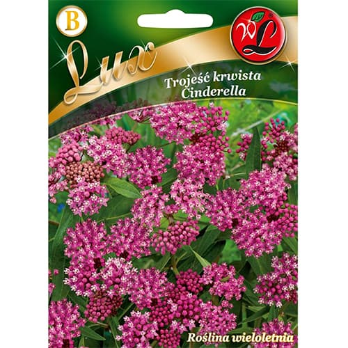 Iarba fluturilor Cinderella imagine 1 articol 96780