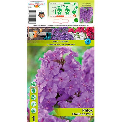 Brumărele Etoille de Paris imagine 1 articol 76347