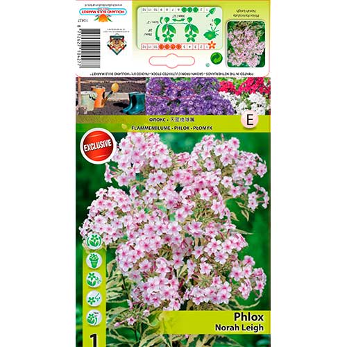 Brumărele Nora Leigh imagine 1 articol 70447