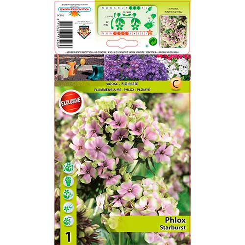 Brumărele Starburst imagine 1 articol 76349