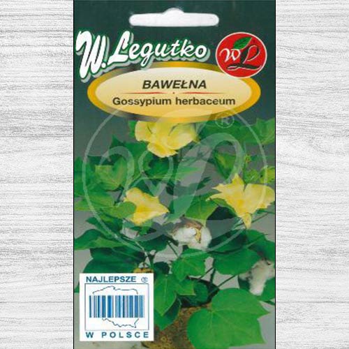 Bumbac indian alb imagine 1 articol 78621