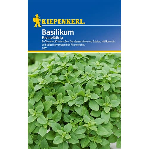 Busuioc anual imagine 1 articol 77456