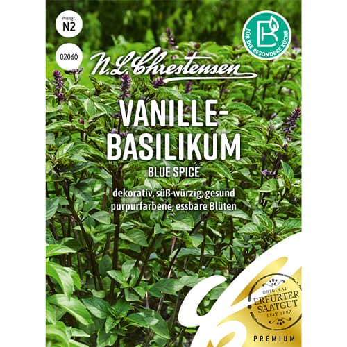 Busuioc Blue Spice articol fotografie 1 Busuioc Blue Spice imagine 1 articol 86021