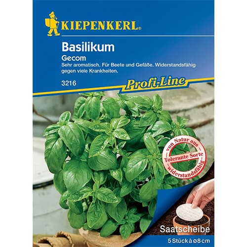 Busuioc Gecom articol fotografie 1 Busuioc Gecom imagine 1 articol 86380